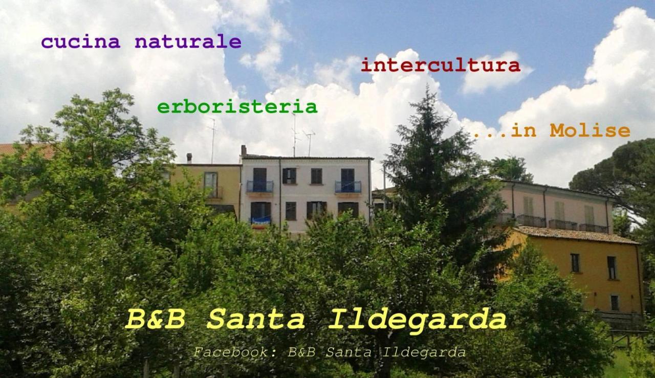 B&B Santa Ildegarda Cantalupo nel Sannio 객실 사진